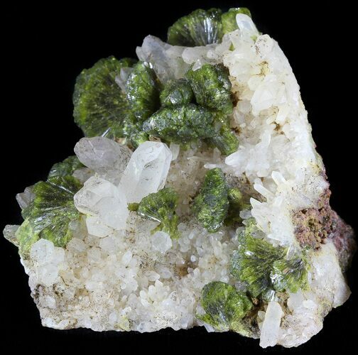 Lustrous, Epidote Crystal Cluster with Quartz - Morocco #49406